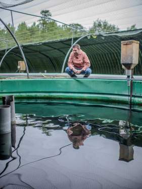 Cuisine - oeuf parfait - Restaurant - le Saltimbanque - Baie de Somme - Hauts de France