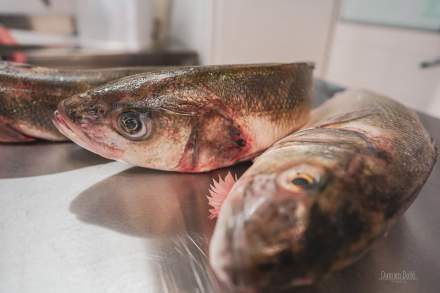 produit - auberge - restaurant - vallee de la somme - baie de somme