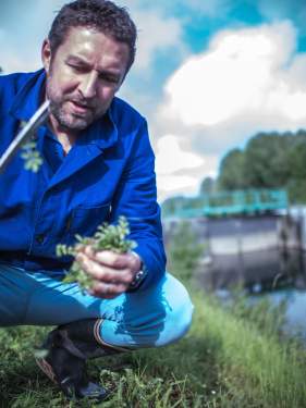 Table - Restaurant - le Saltimbanque - Baie de Somme - Hauts de France