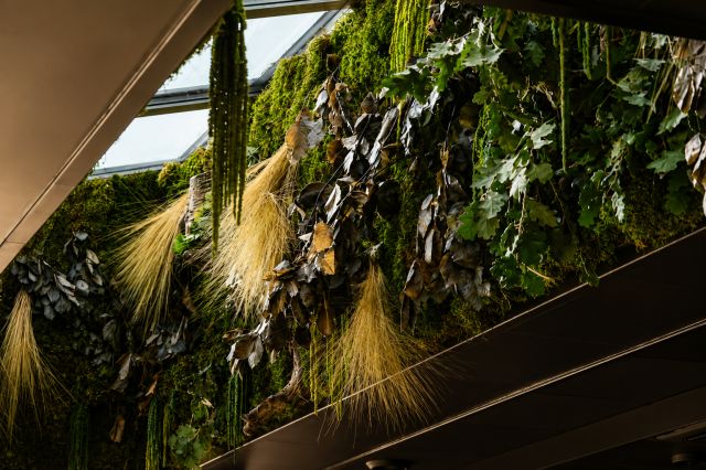 Puit de lumière végétalisé créé par Jungle Home dans la salle du restaurant Le Saltimbanque à Eaucourt-sur-Somme.