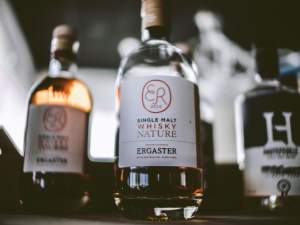 Auberge - le Saltimbanque - Baie de Somme - Hauts de France