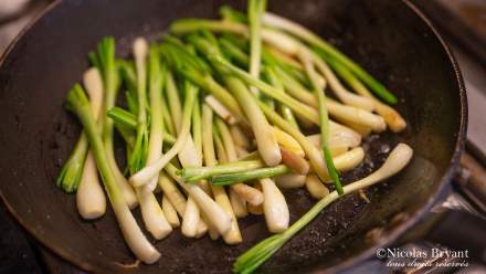 Plat - Chef - Sébastien Porquet - Restaurant - le Saltimbanque - Baie de Somme - Hauts de France